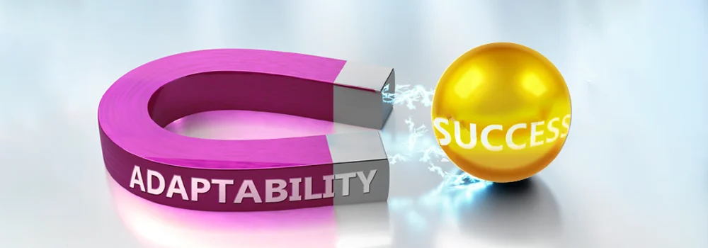 adaptability for success