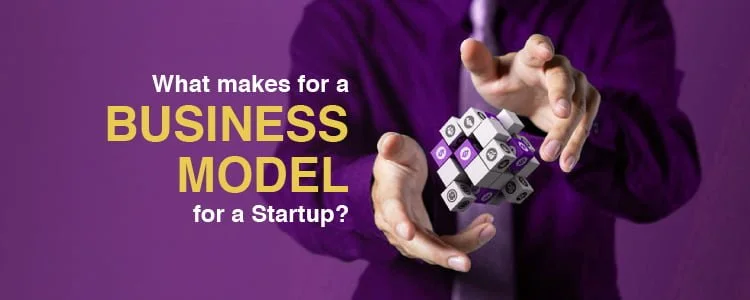 Ingredients of the Business Model for a Startup